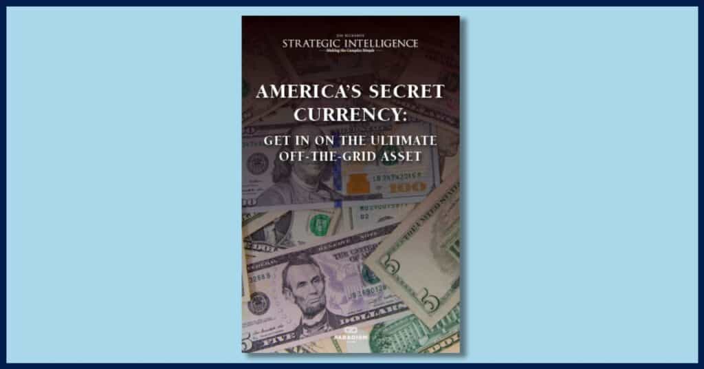 America's Secret Currency book cover image
